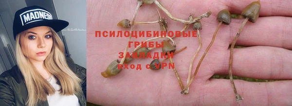spice Михайловск