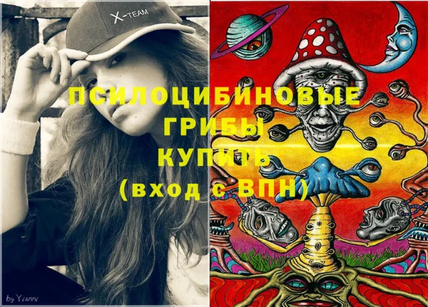 spice Михайлов