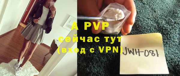 spice Михайлов